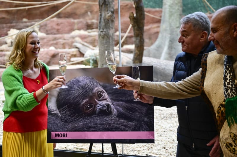 Křest gorilí samičky v zoo Praha