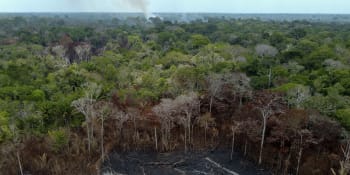 CNN: Blíží se katastrofa v Amazonii. Plíce planety zkolabují už za 26 let, varují vědci