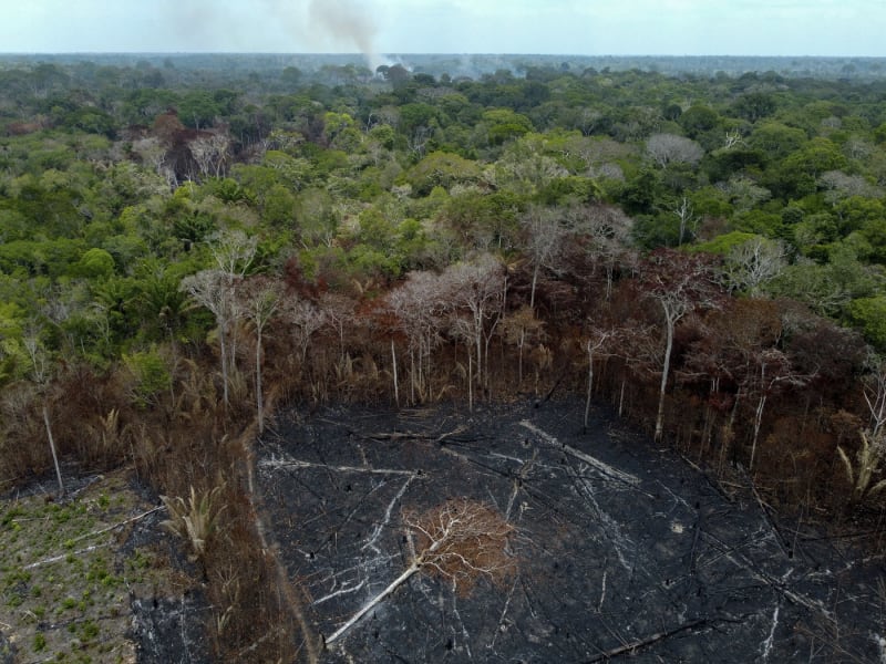 Amazonský deštný prales se blíží k bodu katastrofy, varují vědci.