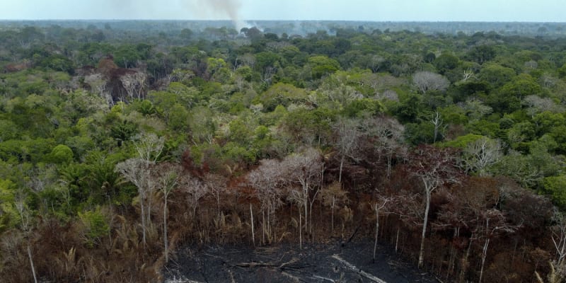 Amazonský deštný prales se blíží k bodu katastrofy, varují vědci.