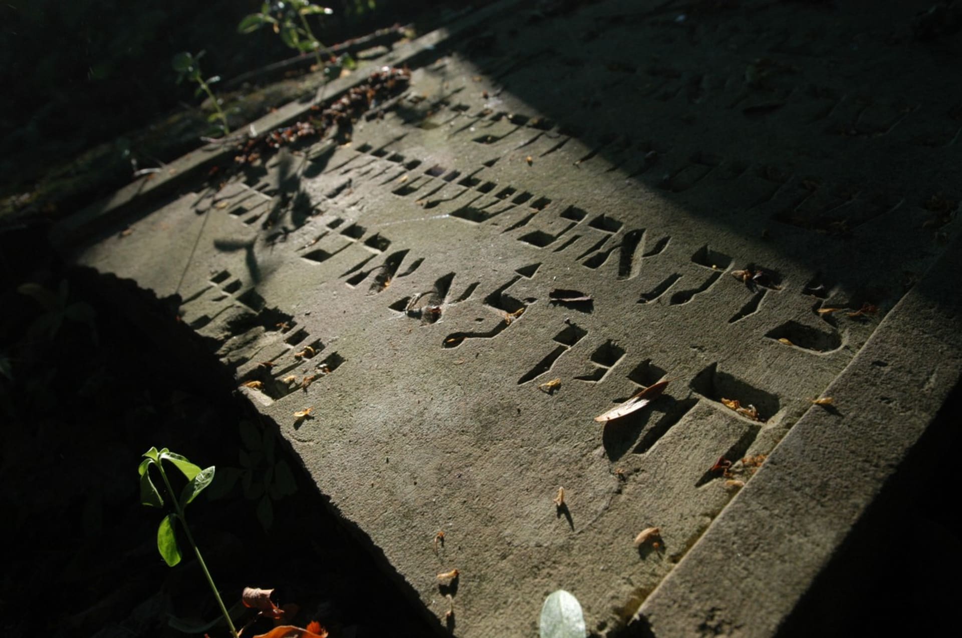 Jeden z mnoha zničených židovských hrobů v Česku, v tomto případě pochází z Boskovic.
