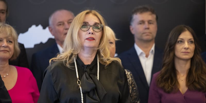Předsedkyně Pirátské strany – Slovensko Zuzana Šubová zavzpomínala na svého zesnulého kolegu. 