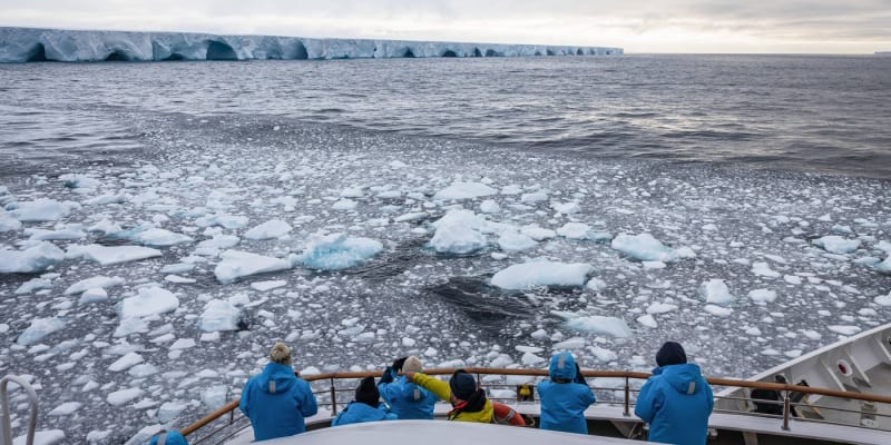 Ledovec zřejmě nakonec roztaje v Atlantiku