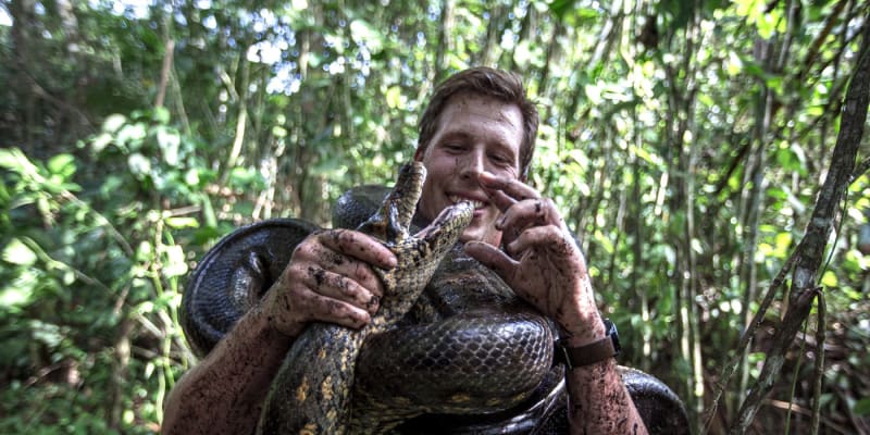 Anakonda obývá deštný prales v Jižní Americe