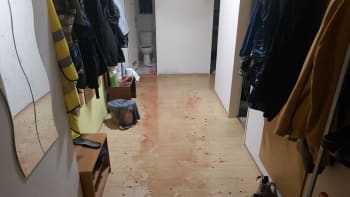 Podlaha zalitá krví, zničený záchod a boj otce se synem. Strážníci řešili drama na Zbraslavi