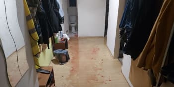 Podlaha zalitá krví, zničený záchod a boj otce se synem. Strážníci řešili drama na Zbraslavi