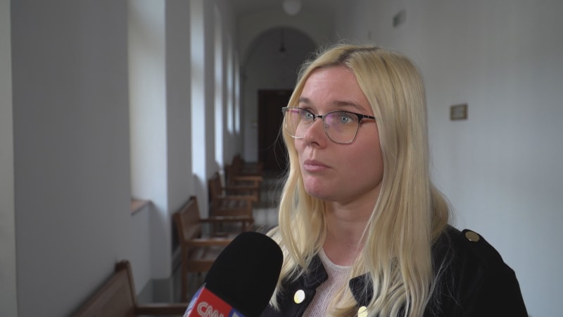 Soud se bude případem zabývat v následujících měsících, uvedla mluvčí Rubášová