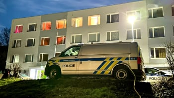 Trojnásobná vražda v Hořovicích: Muž dvě malé děti a ženu uškrtil, v bytě žil s nimi 