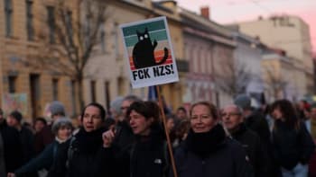 V Rakousku a Německu se protestovalo proti krajní pravici. Do ulic vyšly desítky tisíc lidí