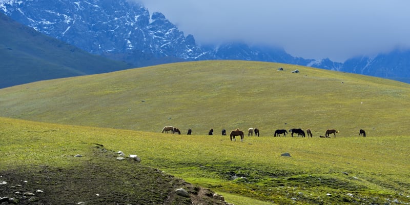 Hory v Kyrgyzstánu