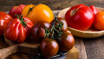 Zkuste pěstovat i rajčata hnědá, beefsteaková či jahodová. Je čas začít s výsevem semen