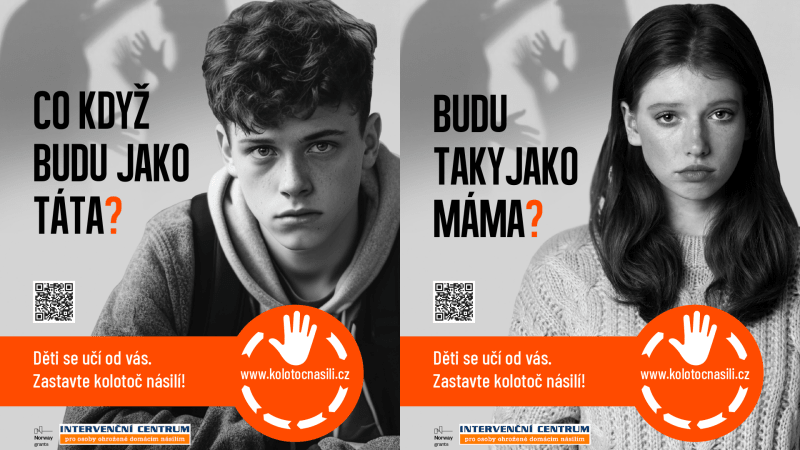V boji proti domácímu násilí byla spuštěna také komunikační kampaň Kolotoč násilí.