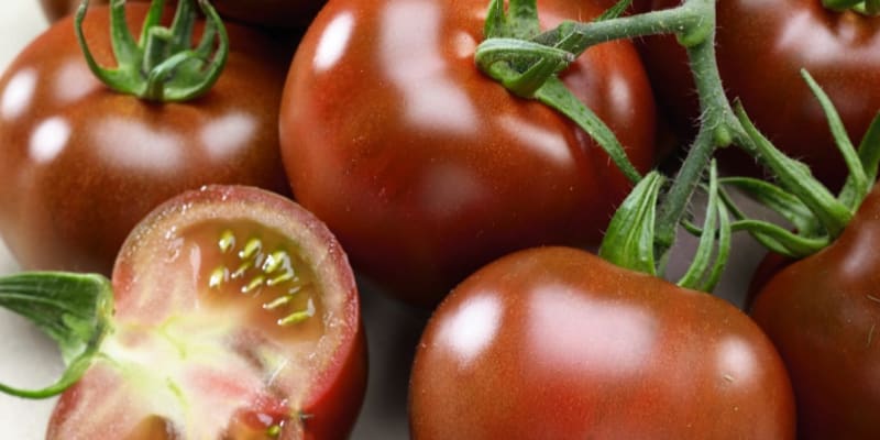 Odrůdy rajčat: Brunito F1 je poloraná hybridní odrůda středního vzrůstu typu Kumato.