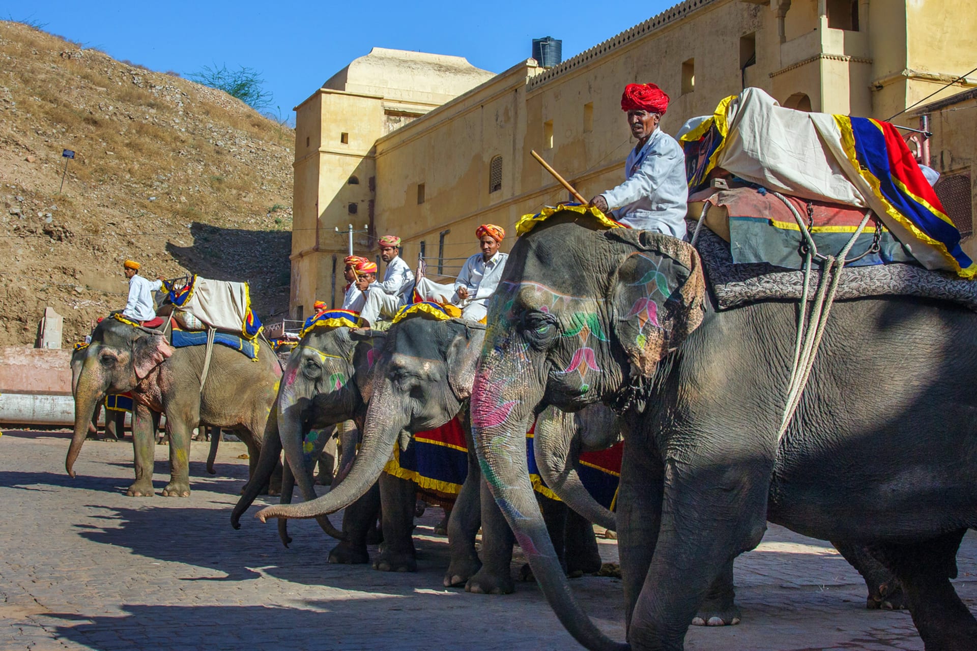 Sloni v indickém Džajpuru