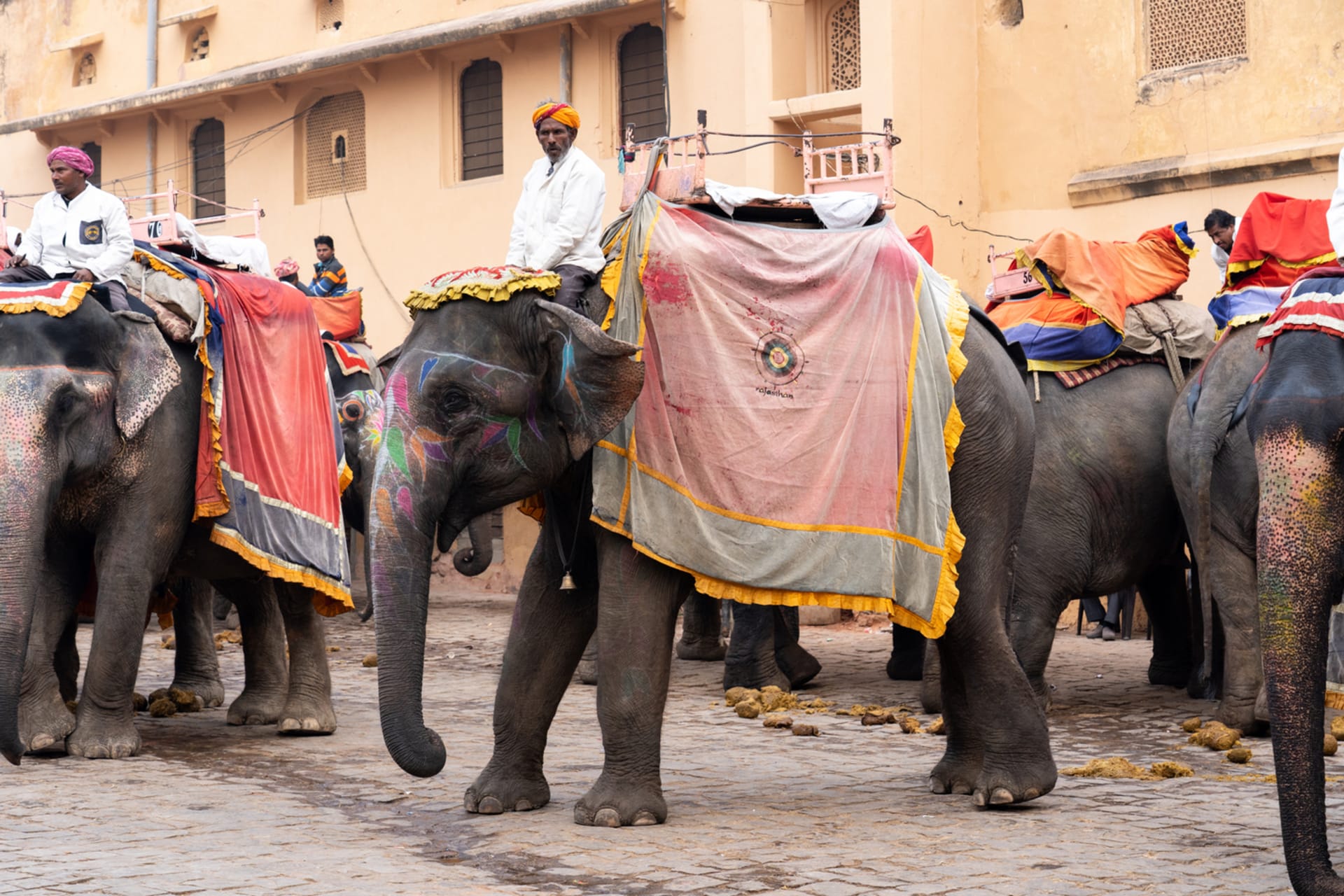 Sloni v indickém Džajpuru