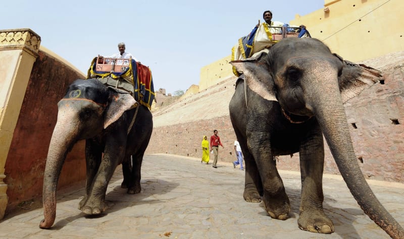 Turističtí sloni v Indii (ilustrační foto)