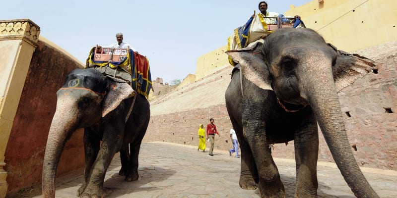 Turističtí sloni v Indii (ilustrační foto)