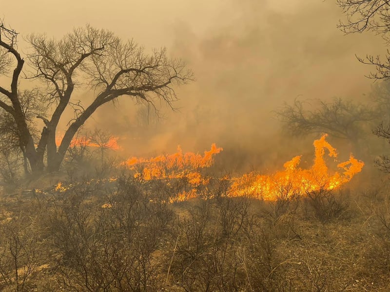 V Texasu bojují hasiči s rozsáhlými a ničivými požáry.