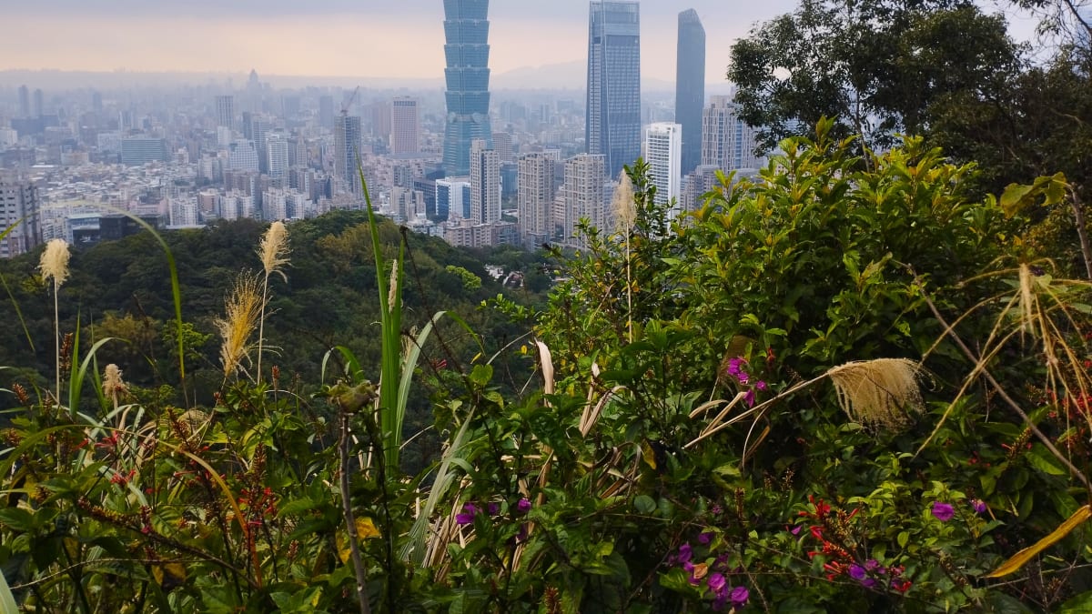 Mrakodrap Taipei 101 v hlavním městě Tchajwanu je vysoký přes 500 metrů, na snímku při pohledu ze Sloní hory. Deset minut pěší chůze od mrakodrapu stojí česká hospoda Divadlo.
