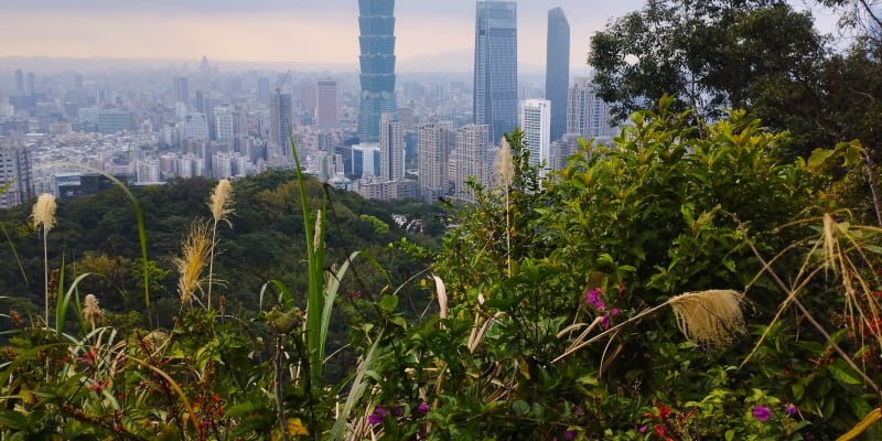 Mrakodrap Taipei 101 v hlavním městě Tchajwanu je vysoký přes 500 metrů, na snímku při pohledu ze Sloní hory. Deset minut pěší chůze od mrakodrapu stojí česká hospoda Divadlo.