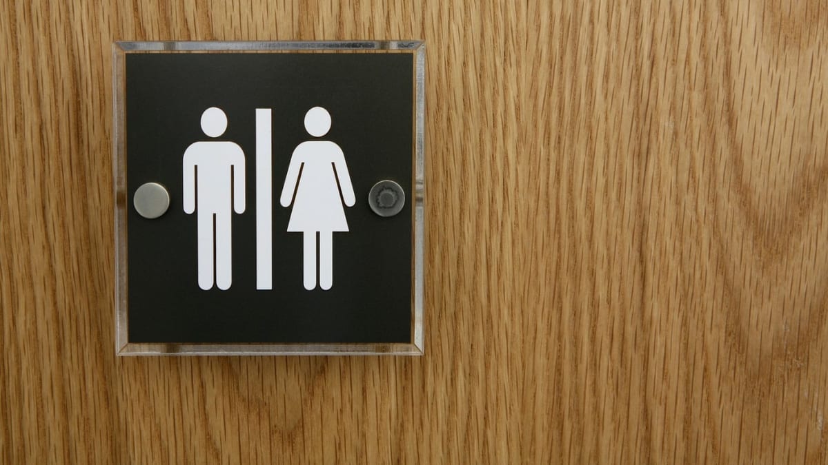 Na školách by mohly být unisex záchody. (Ilustrační foto)