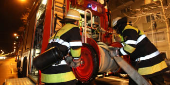 Mohutný požár výkrmny prasat v Německu: Uhořelo 20 tisíc vepřů, dva hasiči se zranili
