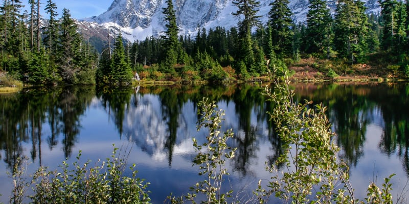 Národní park North Cascades se rozkládá na území od deštného pralesa po suchý ekosystém.