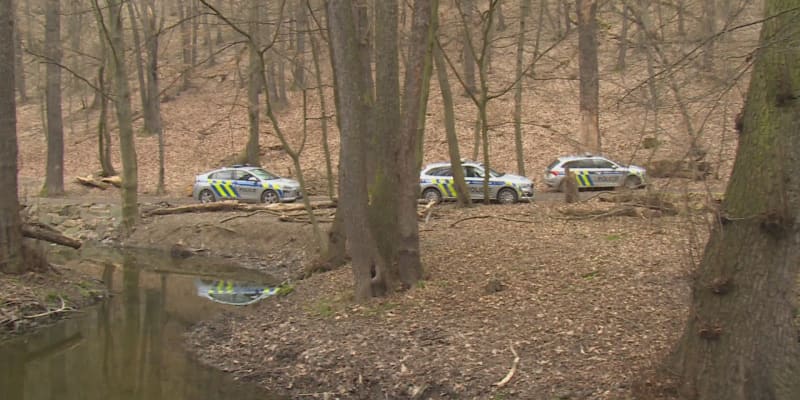 Policisté v úterý dopoledne prohledávali Kunratický les. Pátrali po stopě v souvislosti se znásilněním, které se na místě den předtím stalo.