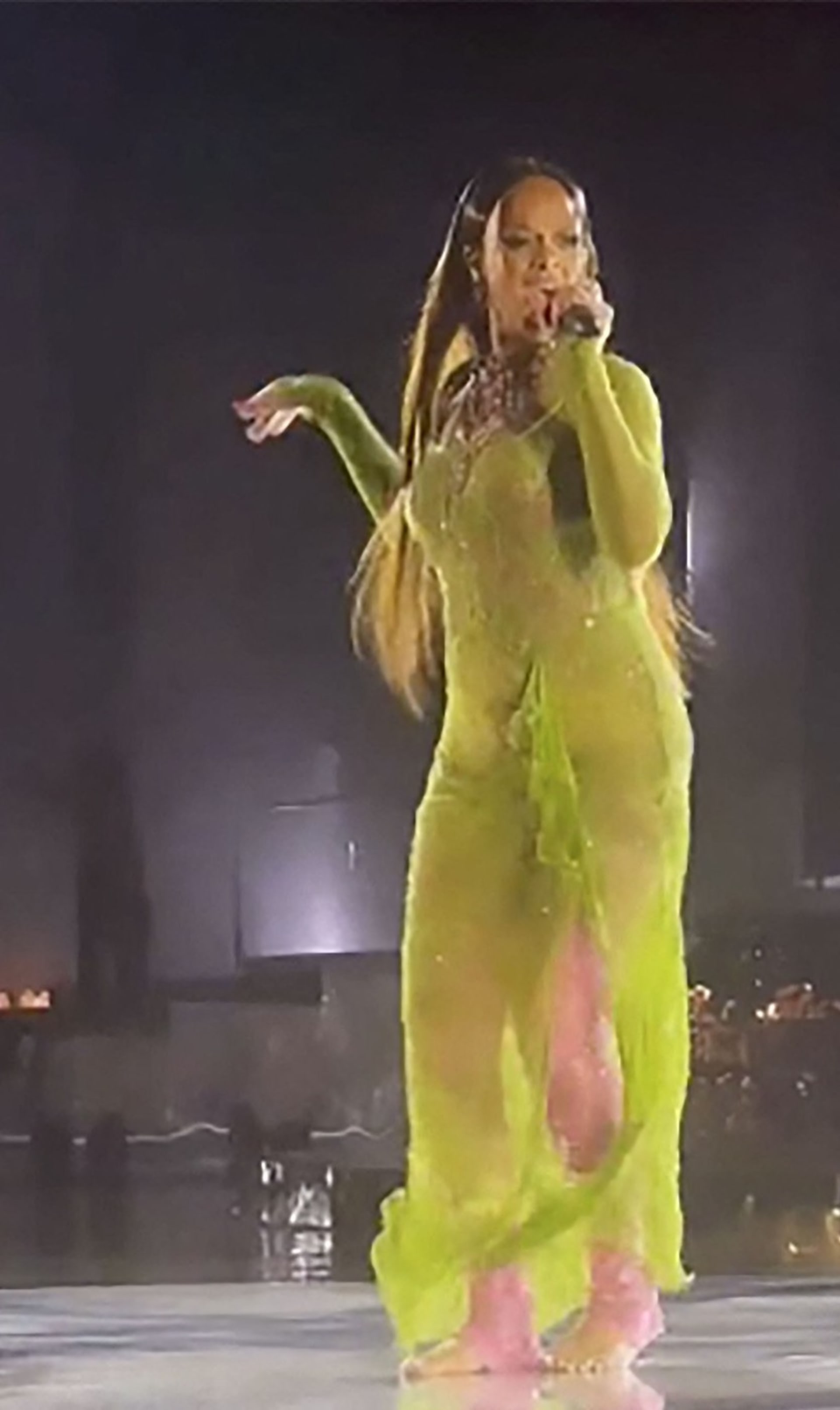 Rihanna na svém posledním koncertě také zvolila outfit v zelené barvě.