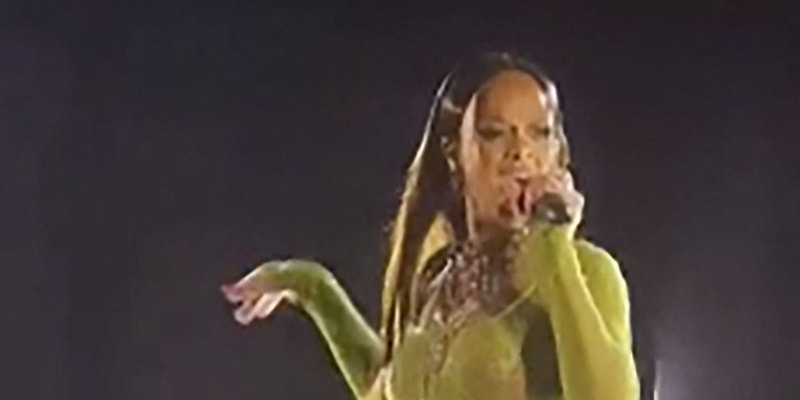Na večírku vystoupila Rihanna.