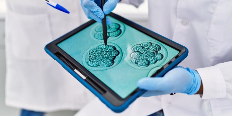 Vědci debatují u tabletu o lidských embryích.