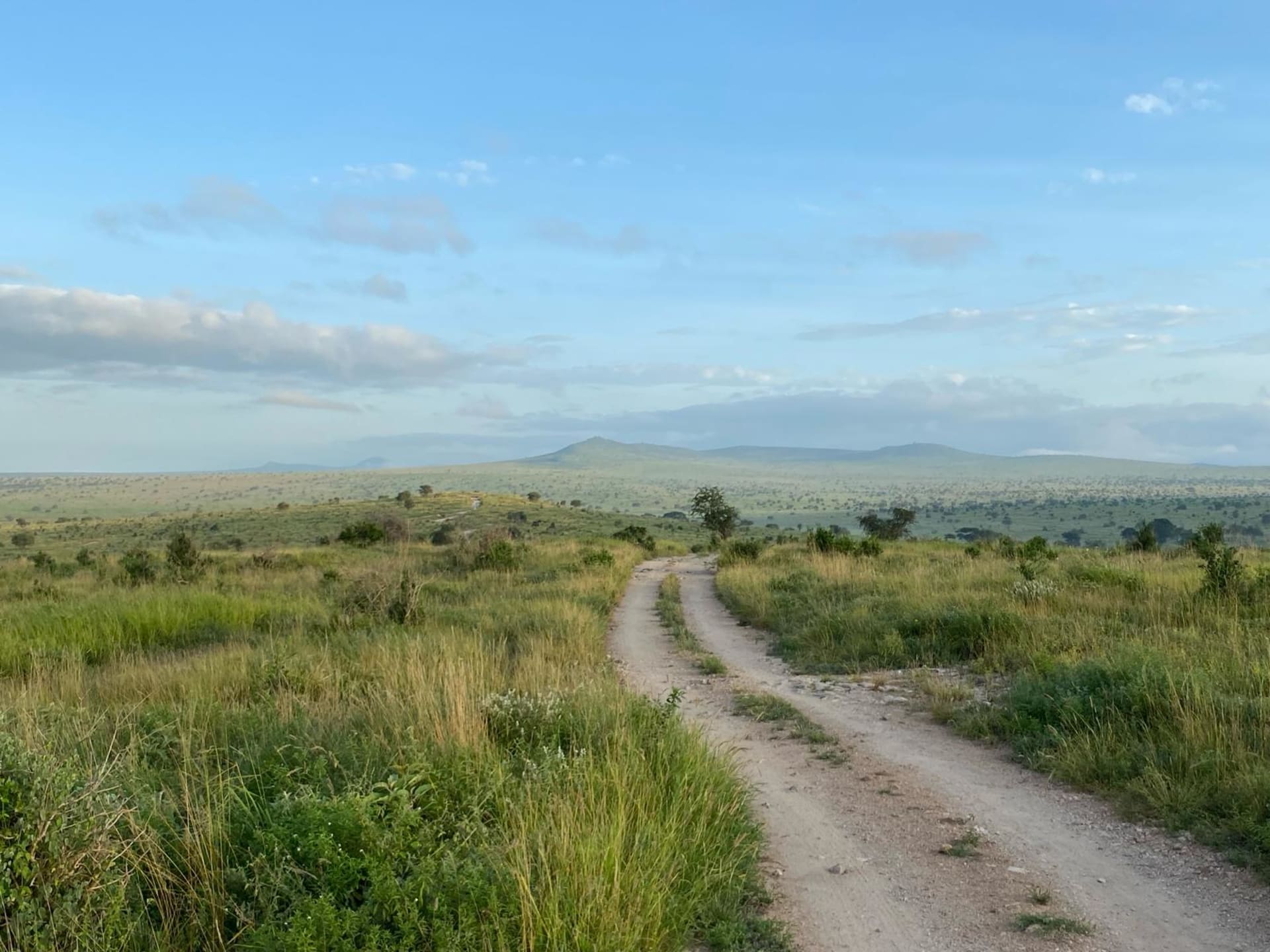 Cesta v národním parku Tsavo