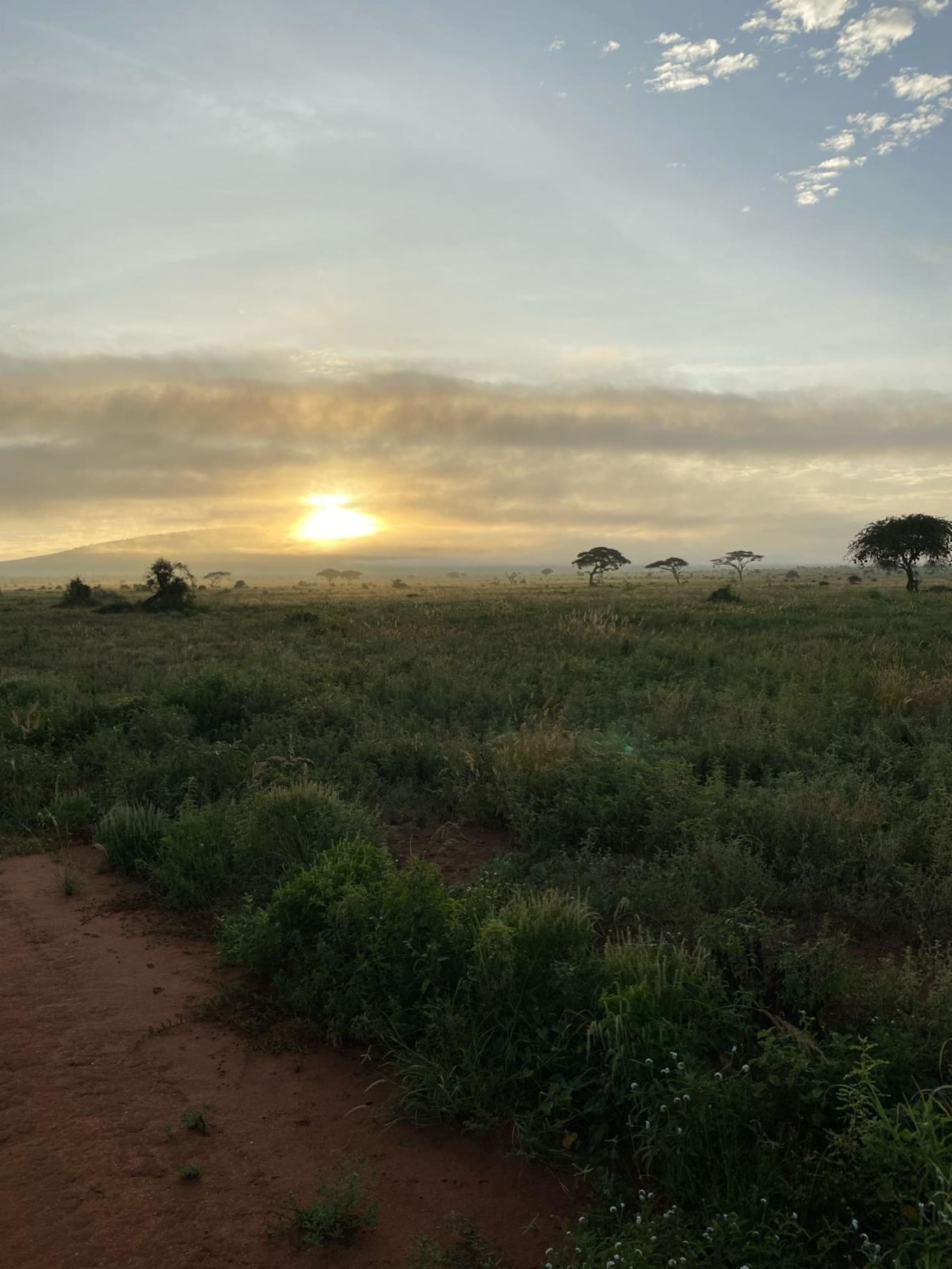 Východ slunce v národním parku Tsavo