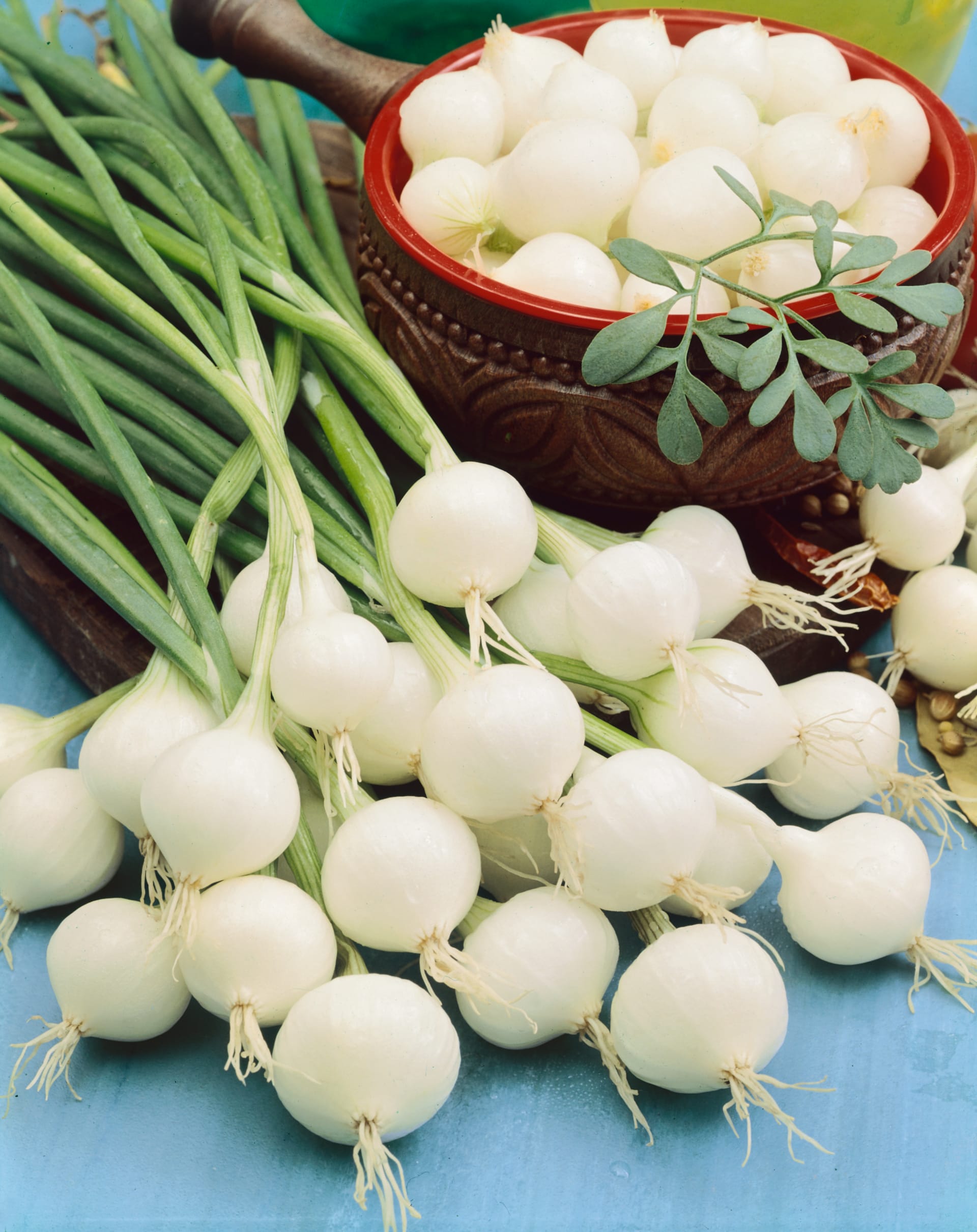 Velmi raná odrůda Pompei je lahůdková bílá cibule, využívaná především k nakládání .