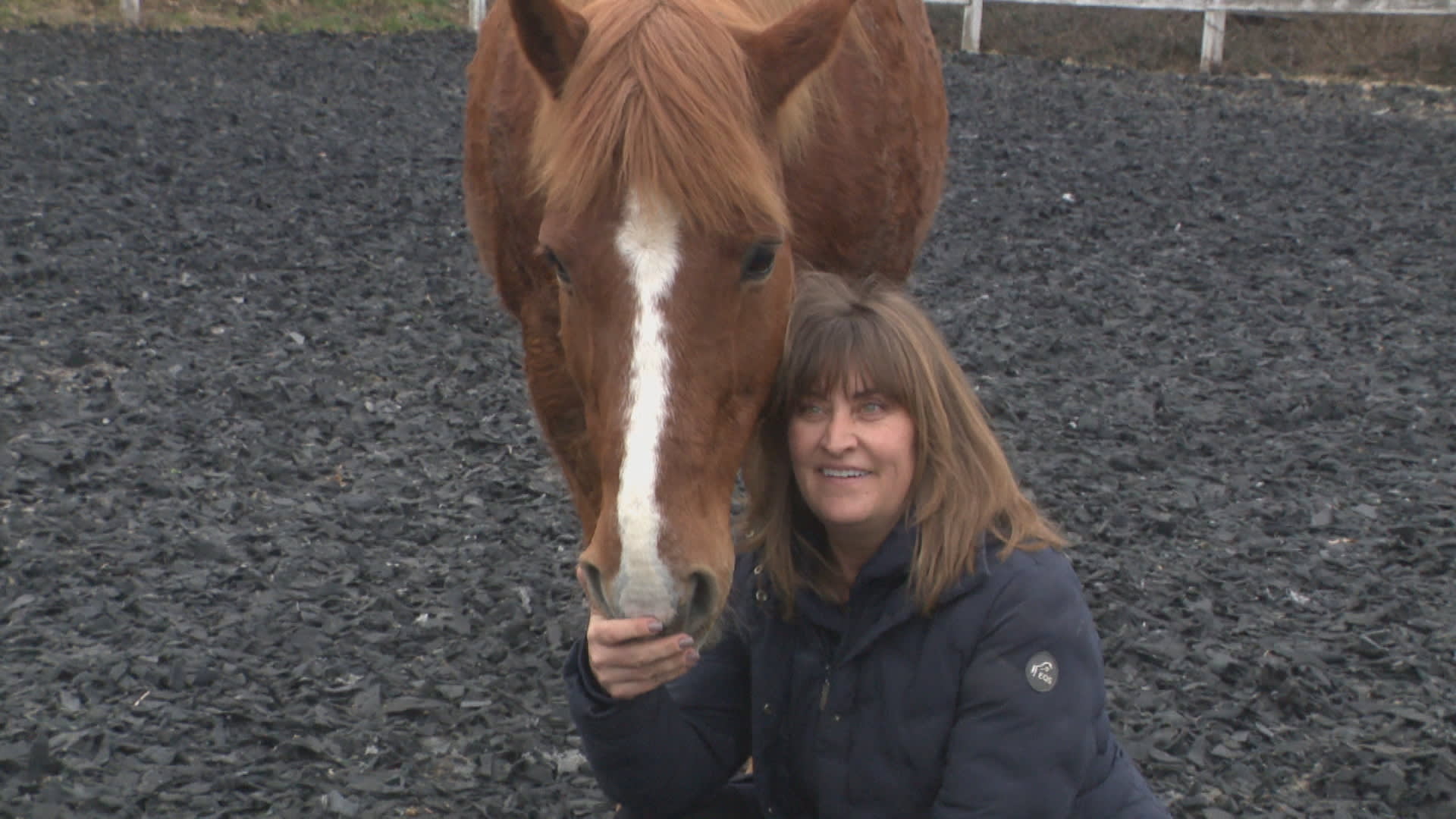 Zdeňka Pohlreichová provozuje koňskou terapii