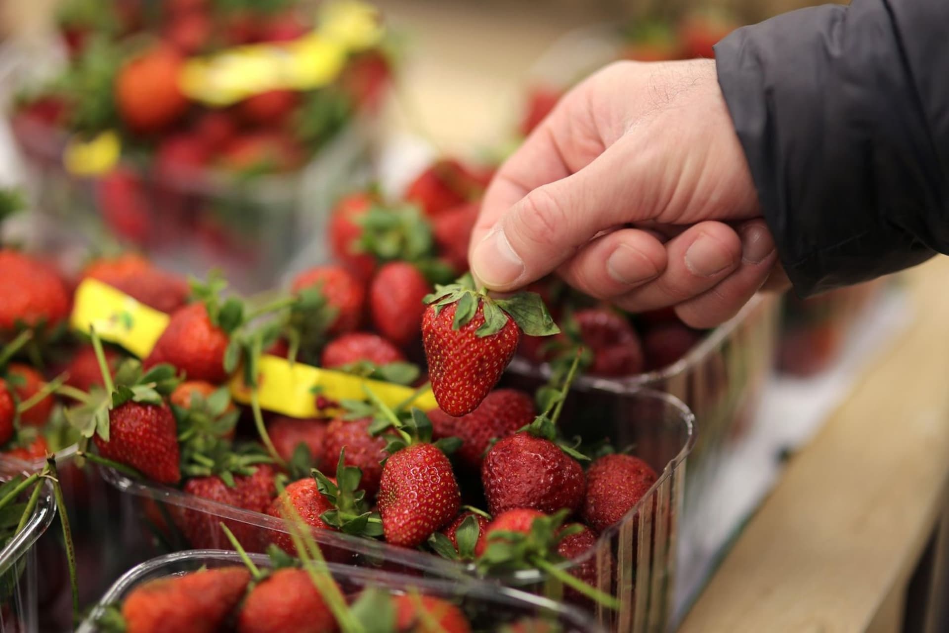 V polských supermarketech byly nalezeny kontaminované jahody. (Ilustrační foto)
