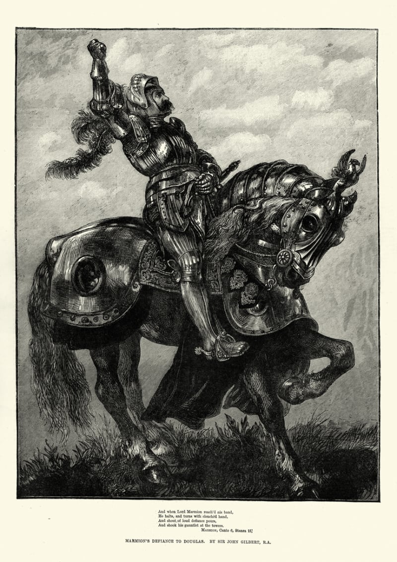Je potomkem typických válečných koní ze středověku