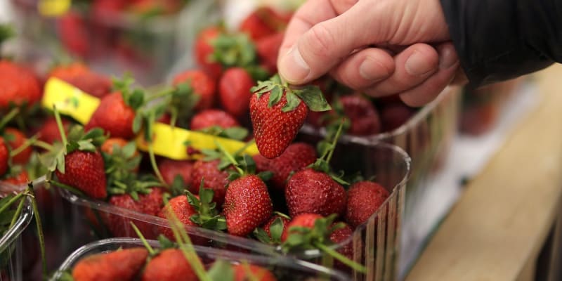 V polských supermarketech byly nalezeny kontaminované jahody. (Ilustrační foto)