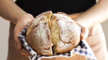 Jak vypadá 8600 let starý bochník chleba? Podívejte se na světový unikát