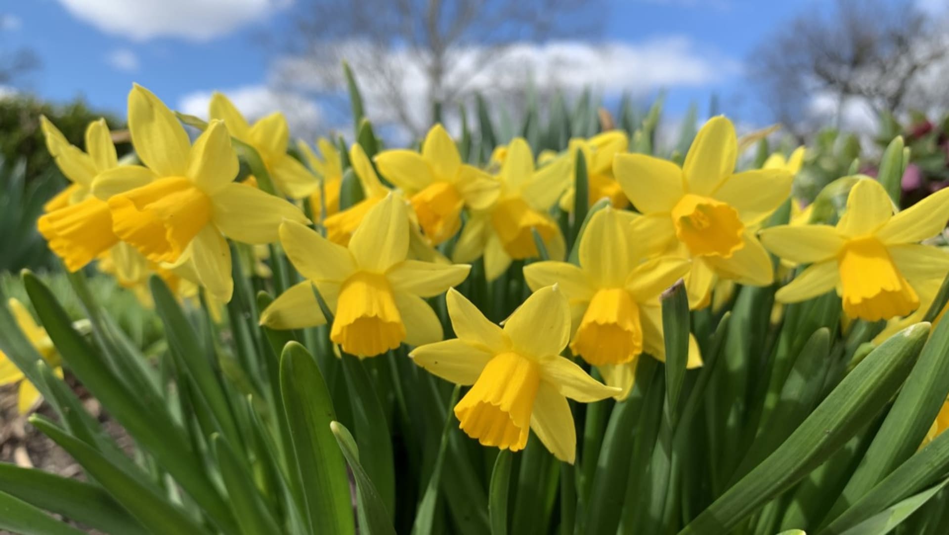 Oficiálně začíná jaro! 20. března nastává jarní rovnodennost a první jarní den