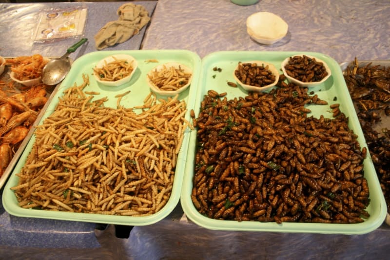 V Indii z hmyzu, jako jsou mravenci, připravují pikantní čatní