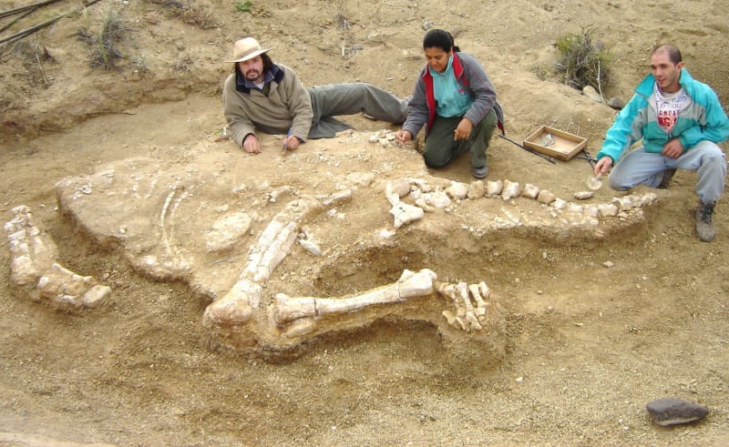 Kostra titanosaura objevená v Argentině