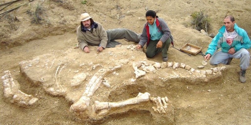 Kostra titanosaura objevená v Argentině