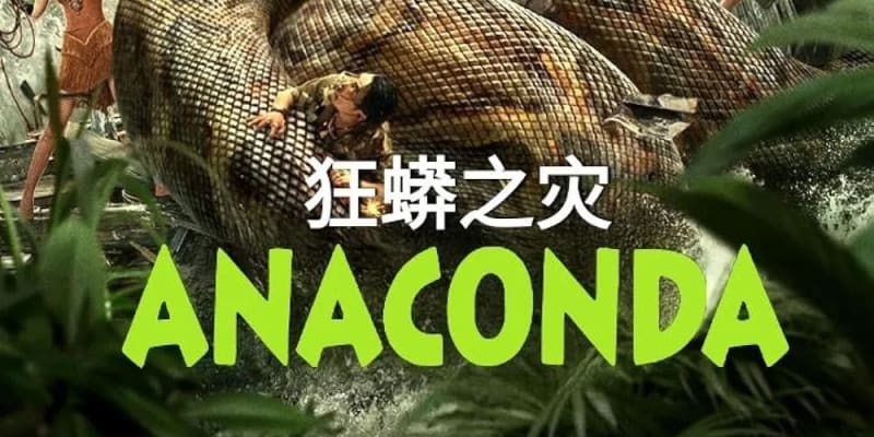 Čínský horor Anaconda