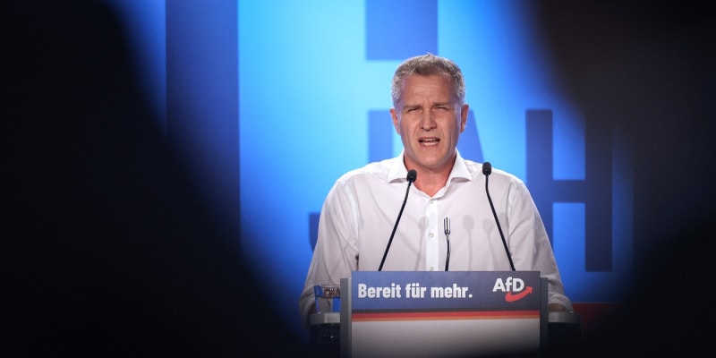 Poslanec německé Alternativy pro Německo (AfD) Petr Bystroň