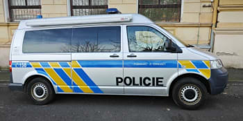Policisté odvolali pátrání po pacientce Psychiatrické nemocnice v Dobřanech