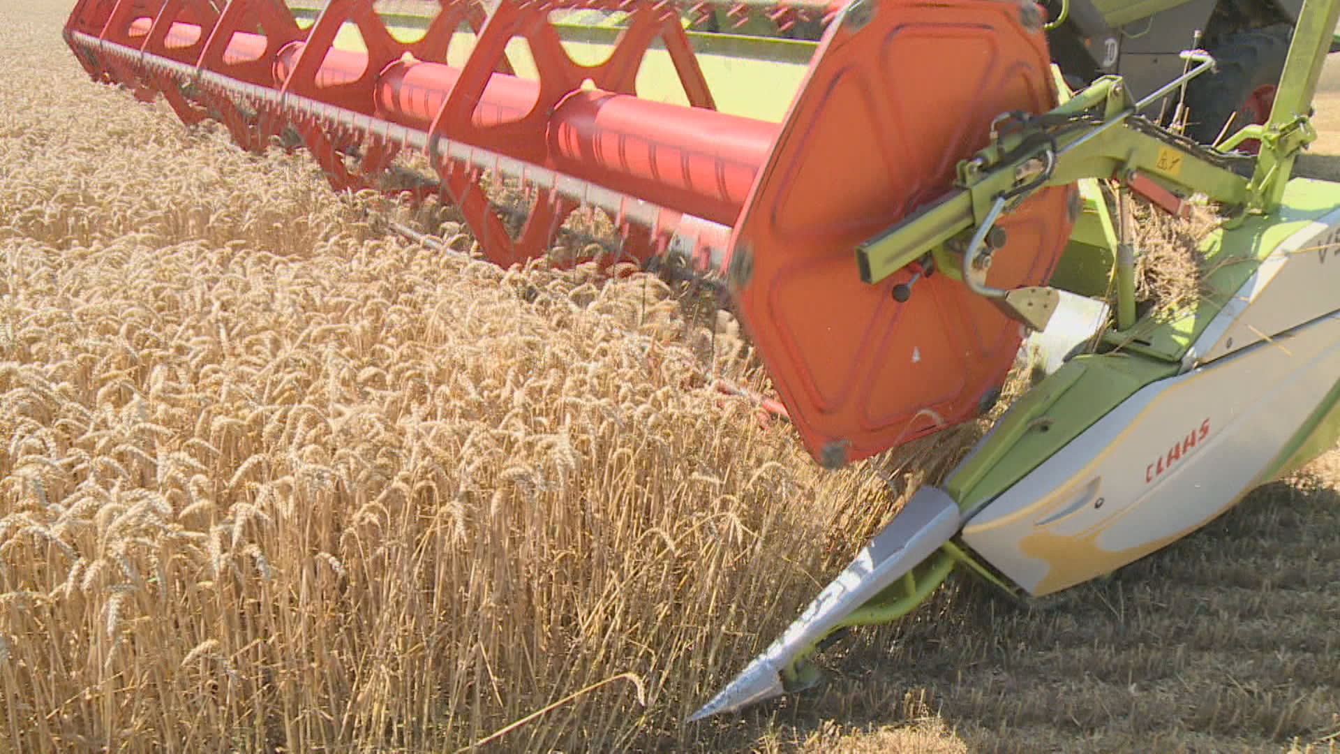 Zemědělci stále kupují hnojiva z Ruska.