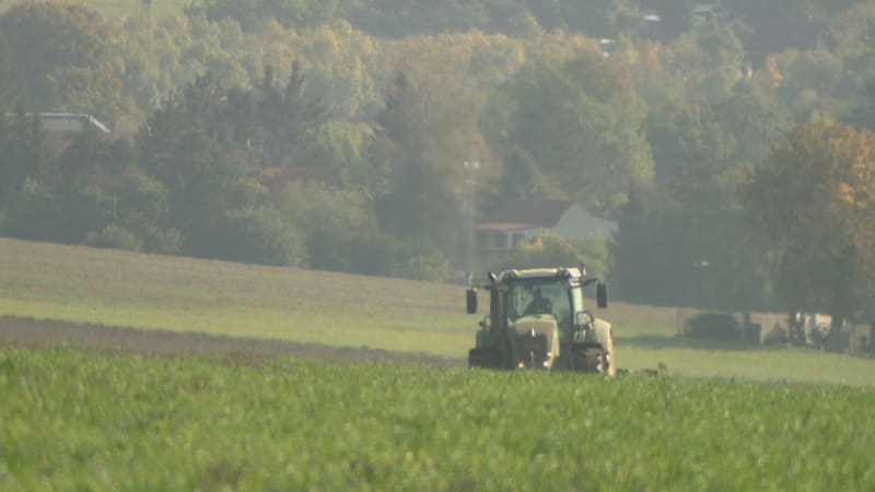 SPD chce zrušit společnou zemědělskou politiku.