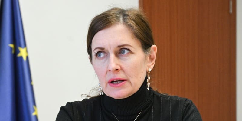 Vládní zmocněnkyně pro lidská práva Klára Šimáčková Laurenčíková
