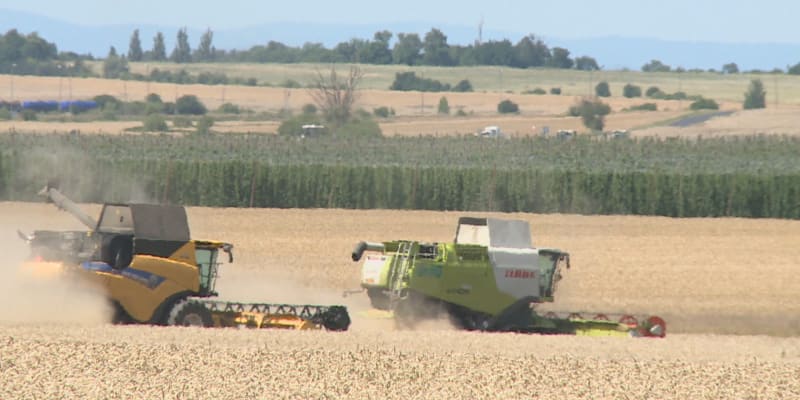 Zemědělci stále kupují hnojiva z Ruska.
